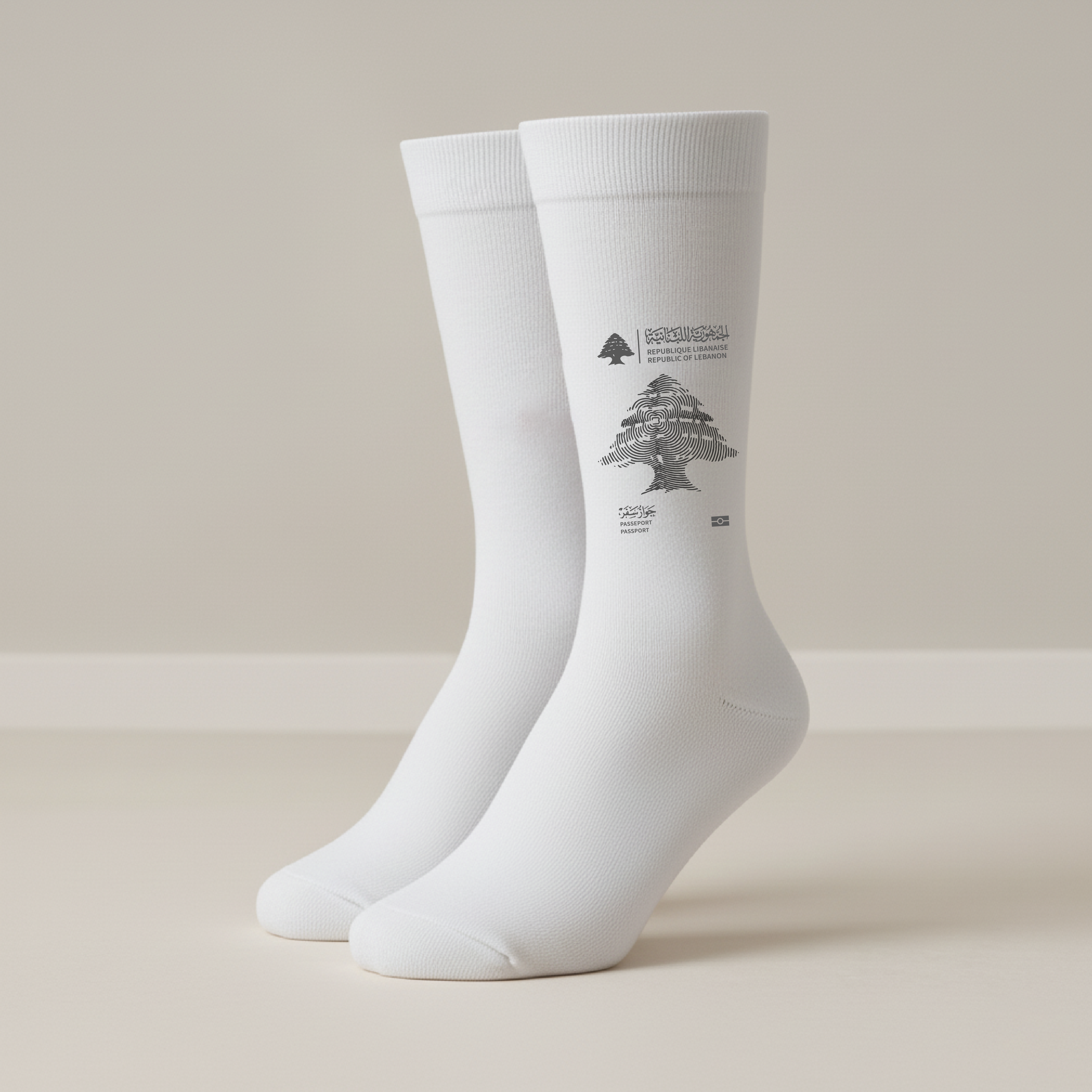 Beirut Passport - Socks